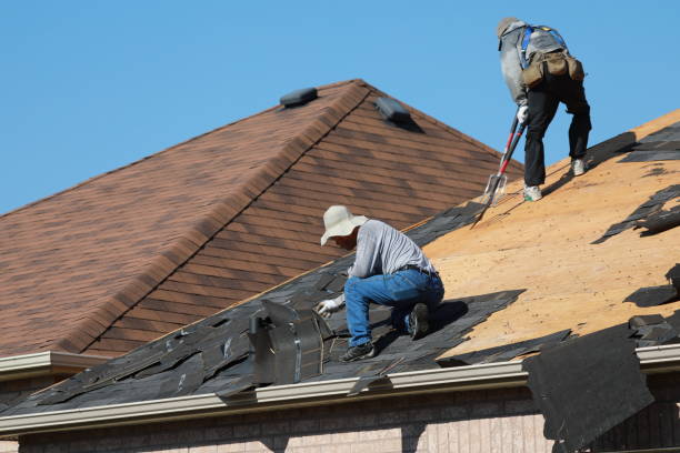 Best Roof Maintenance and Cleaning  in Salem, AR