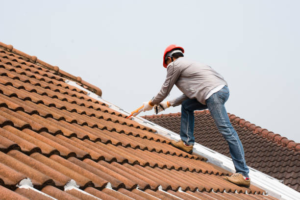 Best Roof Moss and Algae Removal  in Salem, AR