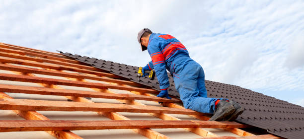Best Cold Roofs  in Salem, AR