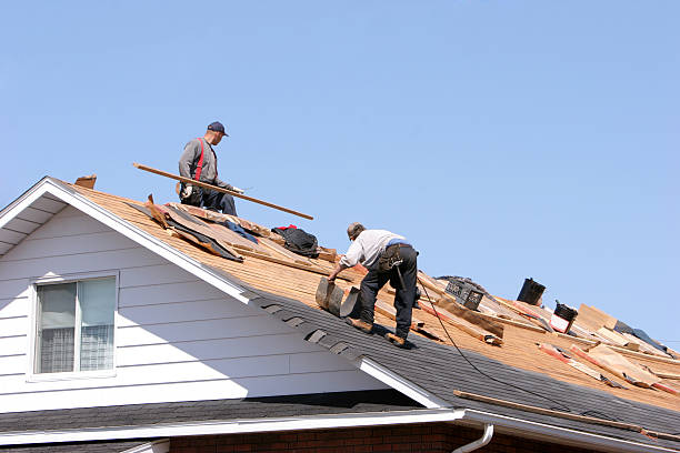 Best Roof Ventilation Installation  in Salem, AR